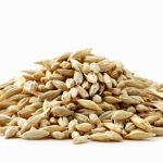 Barley grain heap close up on a white Isolated