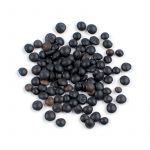 black lentils black lentils