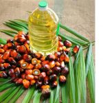 crude palm oil crude palm oil
