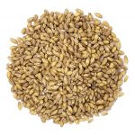 organic hulled barley