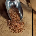 Brown Flax Seeds Brown Flax Seeds