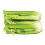 Celery Hearts Celery Hearts