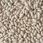 Conventional White Beans Conventional White Beans