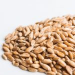Dehulled Spelt (Hulled) Dehulled Spelt (Hulled)