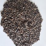 Feed Grade Buckwheat