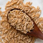 Uncooked Kamut Grain Uncooked Kamut Grain