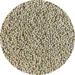 Feed Grade Millet Feed Grade Millet