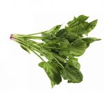Flat Leaf Spinach Flat Leaf Spinach