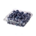 Fresh Blueberries Fresh Blueberries