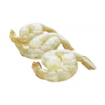 Frozen Squid Rings Frozen Squid Rings