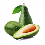 Fuerte Avocado Fuerte Avocado