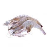 Head On Shell On (HOSO) Head On Shell On (HOSO)