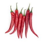 Hot Peppers (Fresh) Hot Peppers (Fresh)