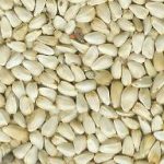 Linoleic Seeds Linoleic Seeds