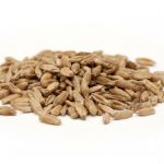 Milling Grade Triticale Milling Grade Triticale