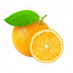 Navel Orange Navel Orange