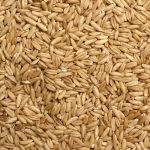 Oat Groats