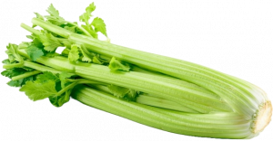 Organic Celery Organic Celery