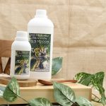 Organic Cold Pressed VCO