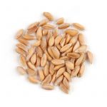 Organic Farro Organic Farro