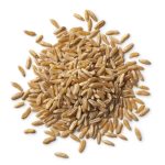 Organic Kamut Organic Kamut