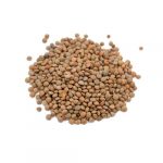 Organic Lentils Organic Lentils