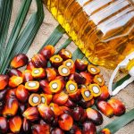 Organic Palm Oil