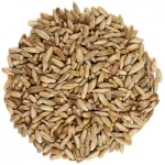 Organic Rye Organic Rye