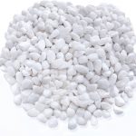 Polished White Beans Polished White Beans