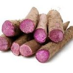Purple Yam (Ube D alata) Purple Yam (Ube D alata)