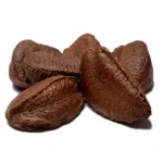 Raw In Shell Brazil Nuts Raw In Shell Brazil Nuts