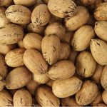 Raw In Shell Pecan Raw In Shell Pecan