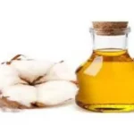 Refined (RBD) Oil Refined (RBD) Oil