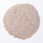 Roasted Sesame Seeds Roasted Sesame Seeds