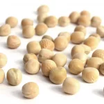 SGS Certified Whole Yellow Peas