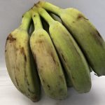 Saba Bananas