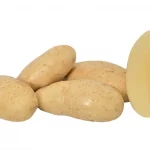 Seed Potatoes Seed Potatoes