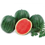 Seedless Watermelon Seedless Watermelon