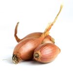 Shallots Shallots