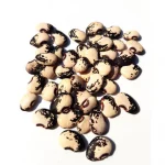 Speckled Lima Beans