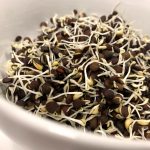 Sprouting Grade Lentils