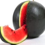 Sugar Baby Sugar Baby