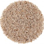 White Chia Seeds White Chia Seeds