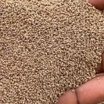 White Fonio White Fonio