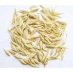 Whole Oats (with hulls)