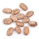  Bulk Pinto Beans Supplier | Organic, Canning & Food-Grade Beans