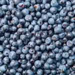 Wild Blueberries (Lowbush) Wild Blueberries (Lowbush)