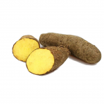 Yellow Yam (D cayenensis) Yellow Yam (D cayenensis)
