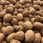 walnuts inshell walnuts inshell