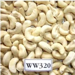 ww cashew nut